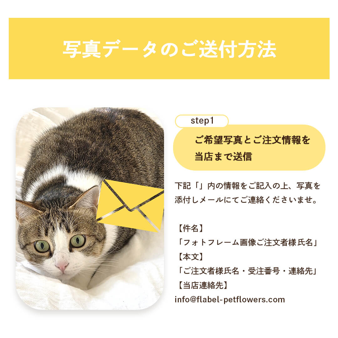 写真の送り方１