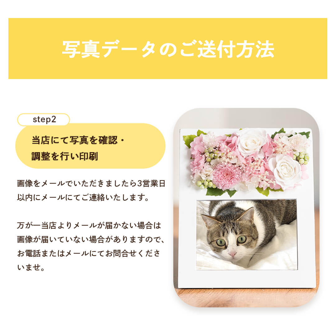 写真の送り方２