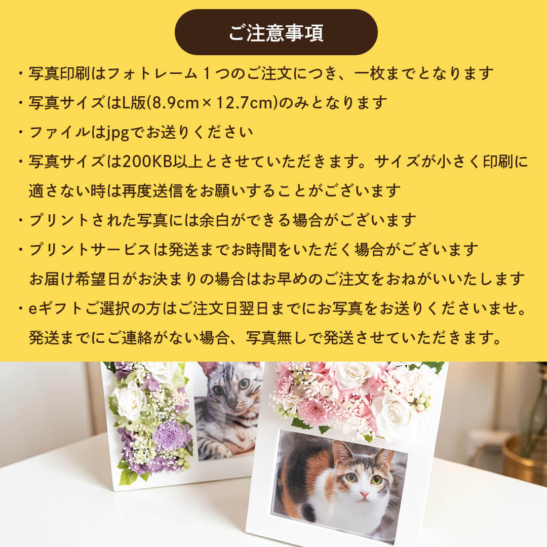 ご注意事項