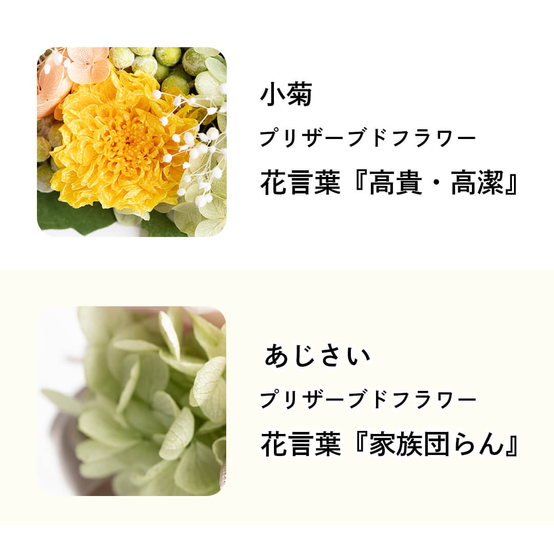 花言葉 小菊「高貴・高潔」・あじさい「家族団らん」