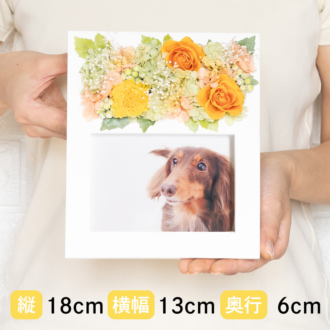 商品サイズ 縦18cm 横幅13cm 奥行6cm