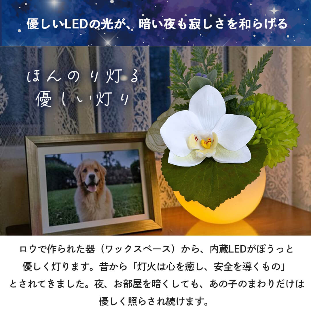 ほんのり灯る優しい灯り