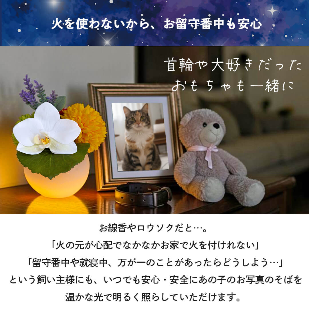 首輪や大好きだったおもちゃと一緒に