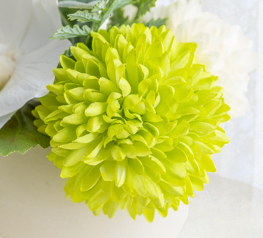 菊