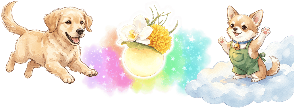 ベル君 花胡蝶