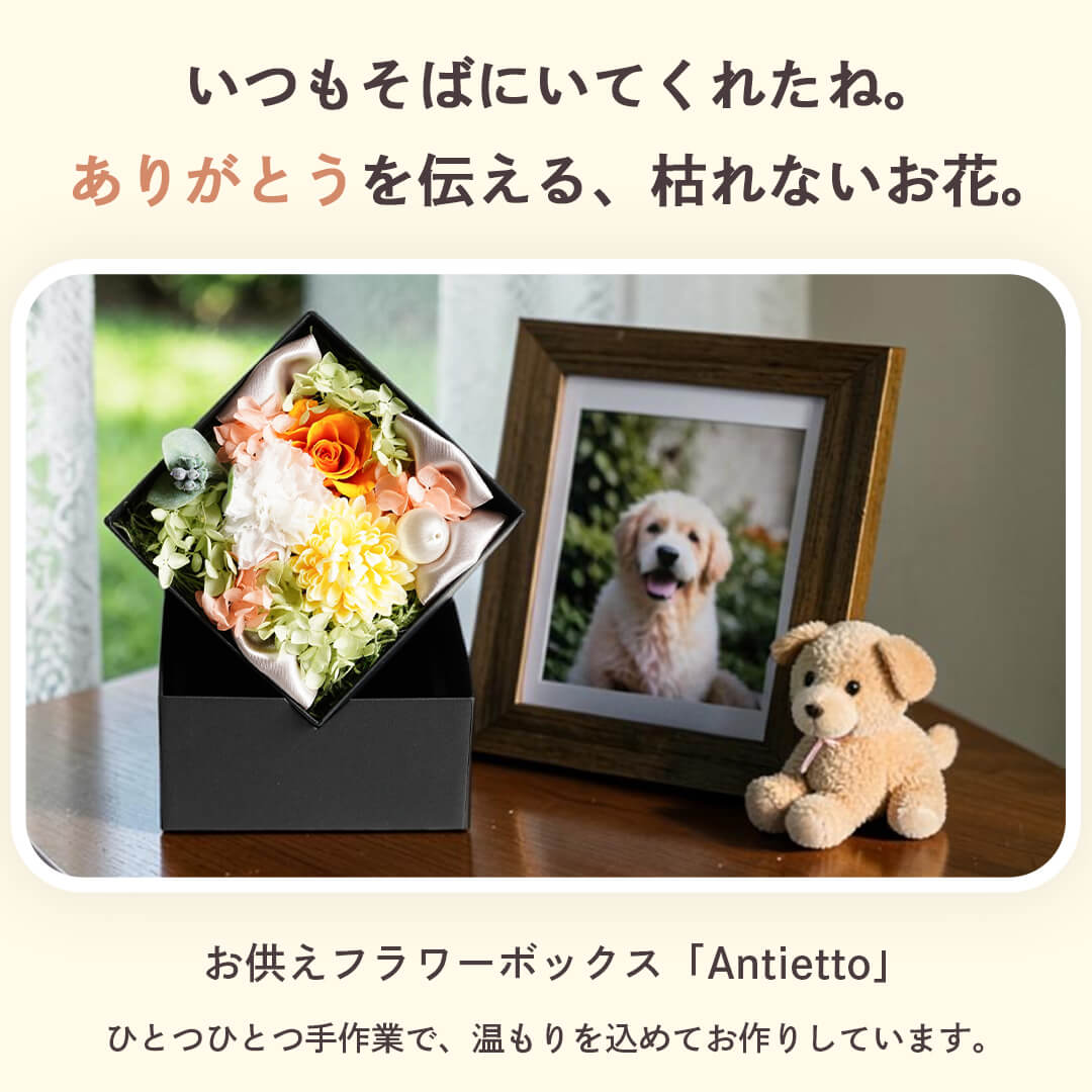 ありがとうを伝える、枯れないお花。