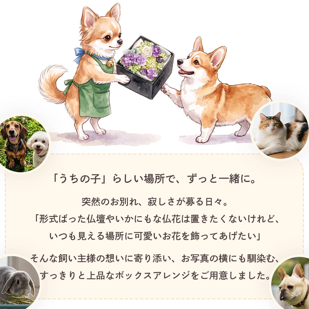 「うちの子」らしい場所で、ずっと一緒に。