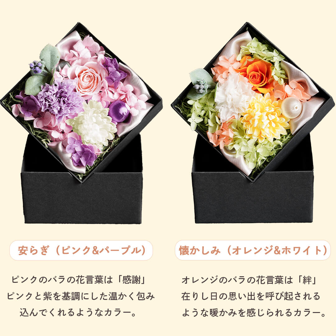 カラー 安らぎ 懐かしみ