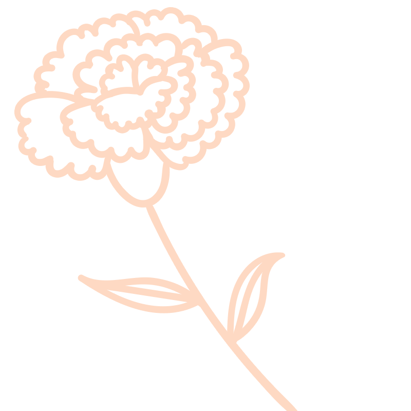 カーネーションのイラスト