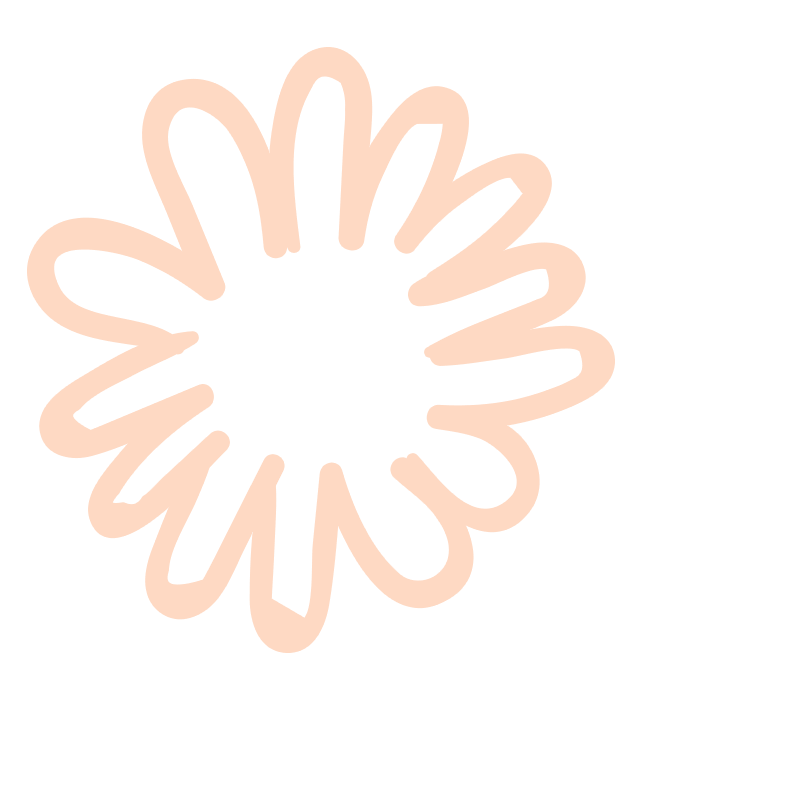 小菊のイラスト