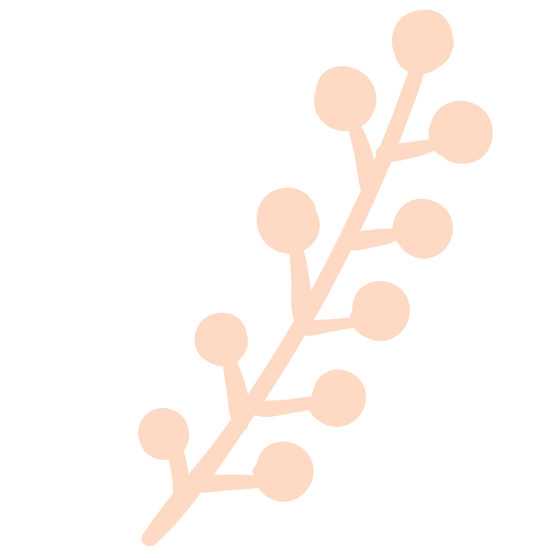 実のイラスト