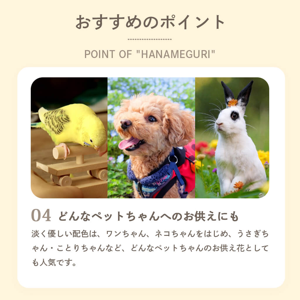 どんなペットちゃんへのお供えにも
