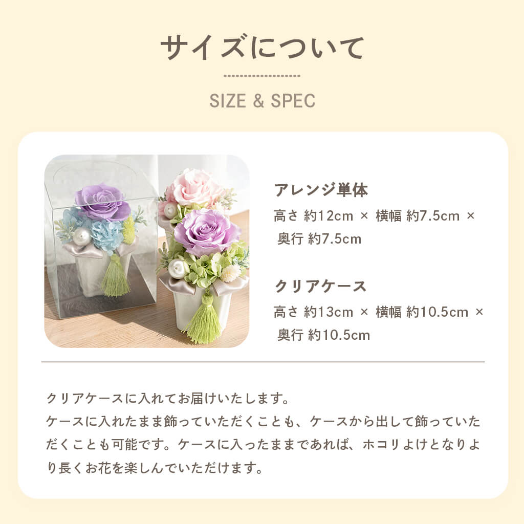 サイズについて